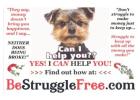 Nonprofits deserve stability