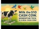 "Momentum Tech - $10 Cash Cow"